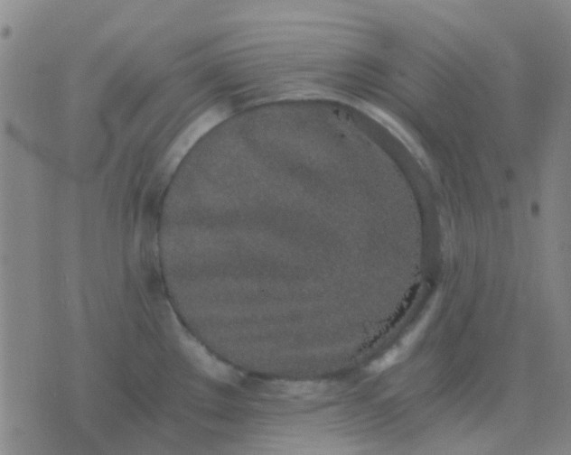 X0000076391289200610202055