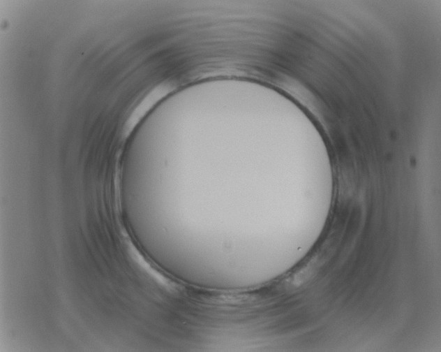 X0000076391290200610202055