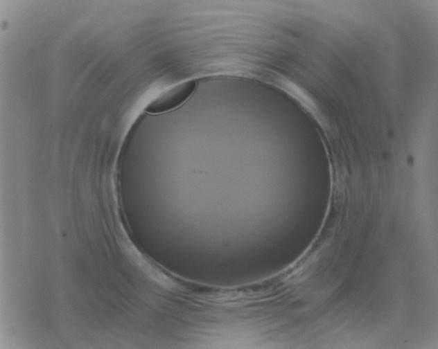 X0000076391291200610202055