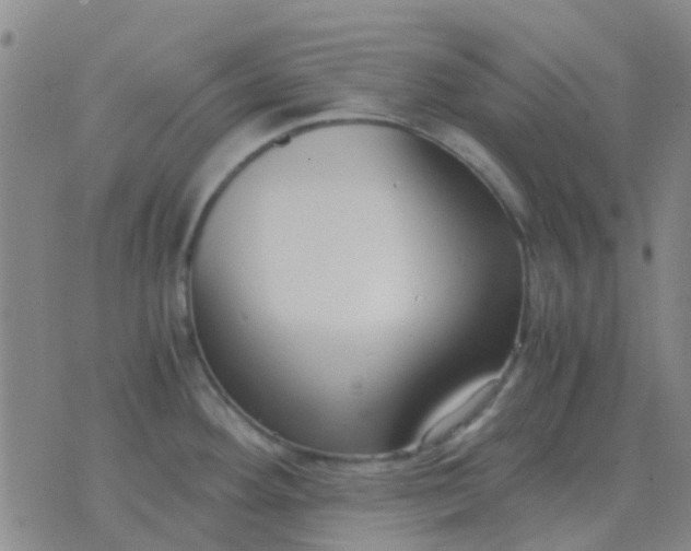 X0000076391292200610202055