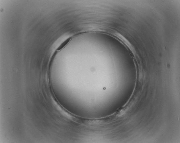 X0000076391293200610202055