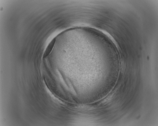 X0000076391295200610202055