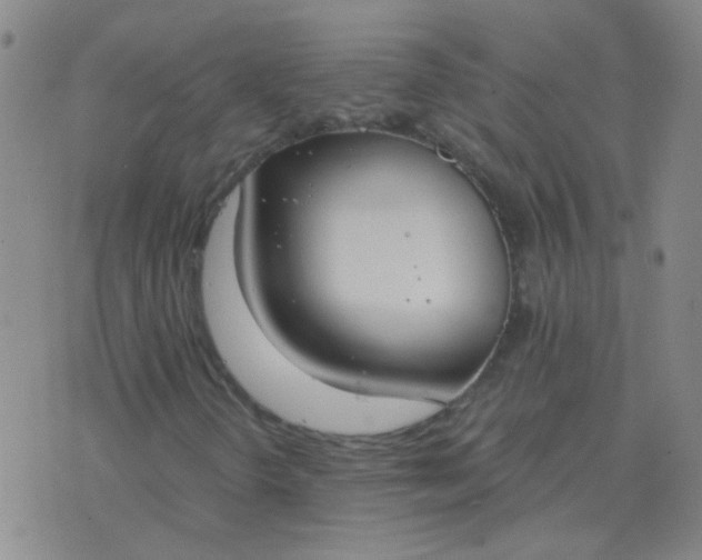 X0000076391298200610202054