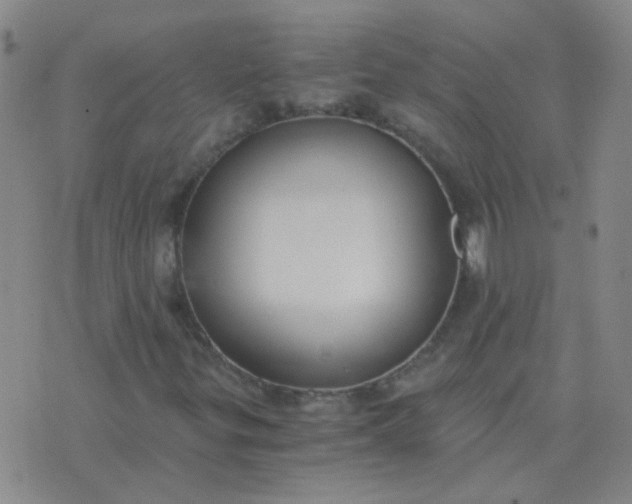 X0000076391299200610202054