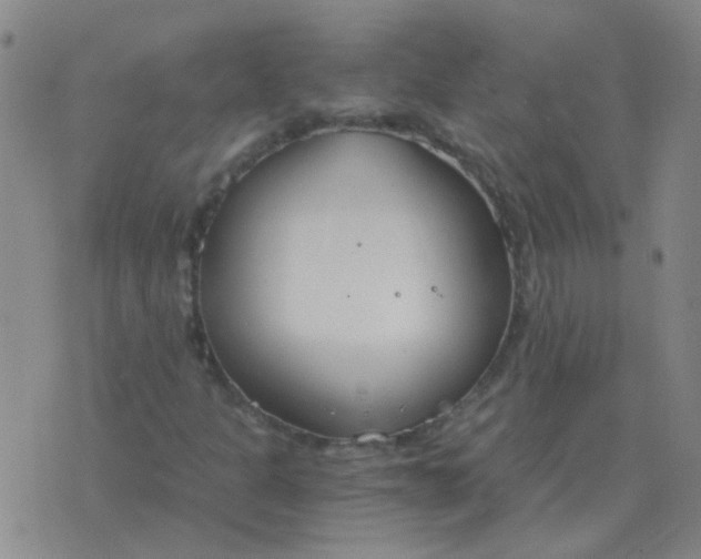 X0000076391301200610202054