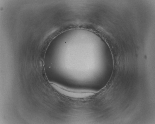 X0000076391302200610202054