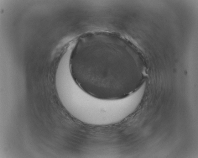 X0000076391303200610202054