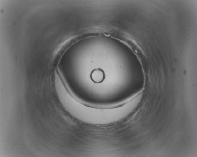 X0000076391304200610202054