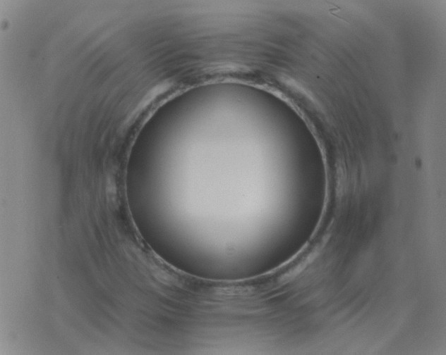 X0000076391305200610202054