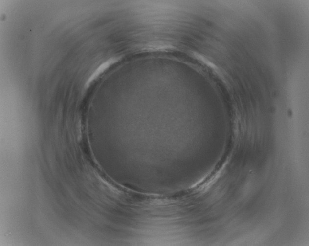 X0000076391306200610202054