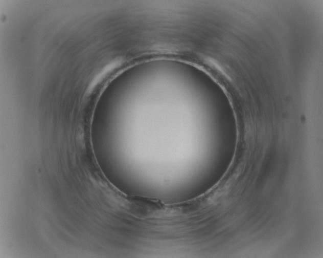 X0000076391307200610202054