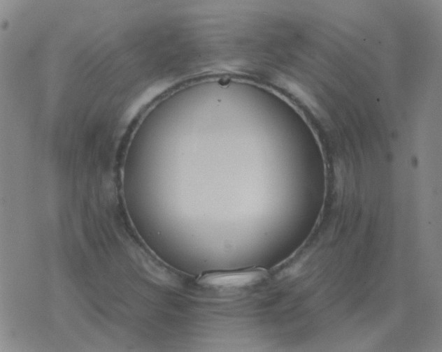 X0000076391308200610202054