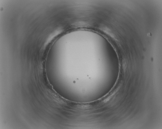 X0000076391309200610202054