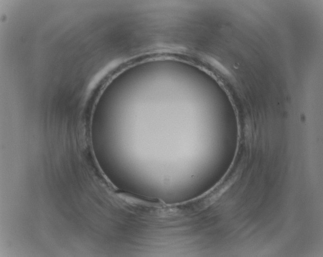 X0000076391310200610202054