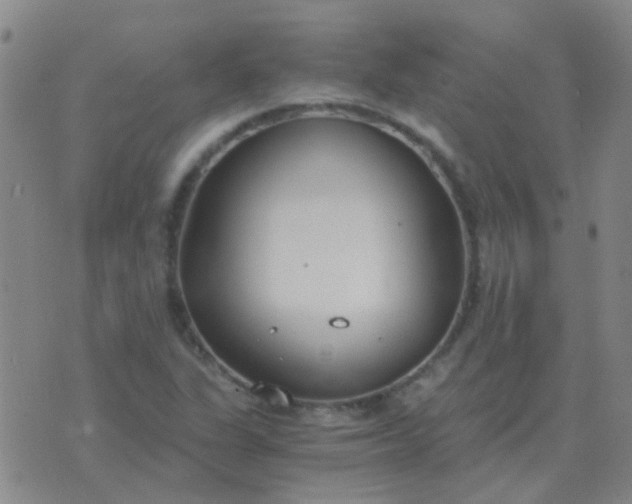 X0000076391311200610202054