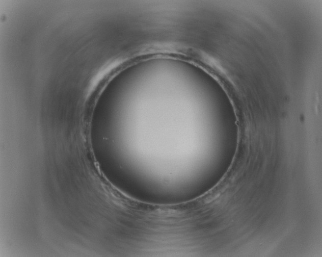 X0000076391312200610202054