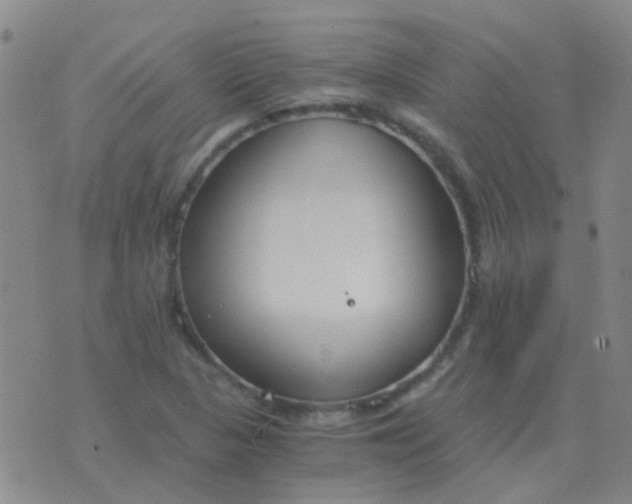 X0000076391313200610202054