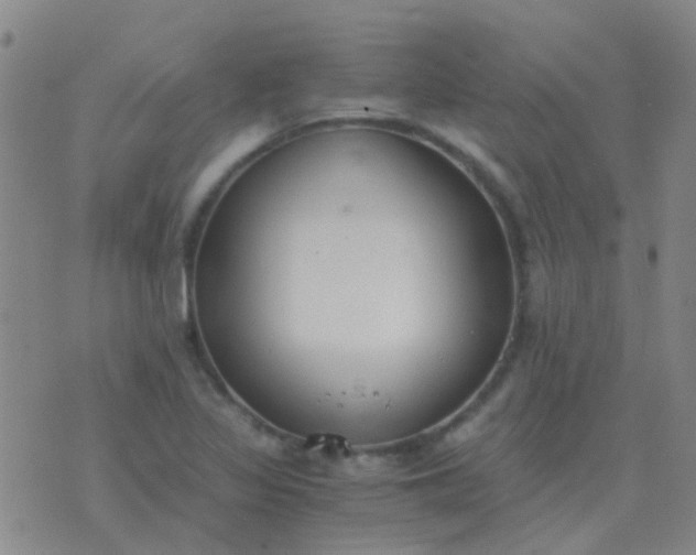 X0000076391317200610202054