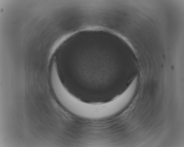 X0000076391319200610202054