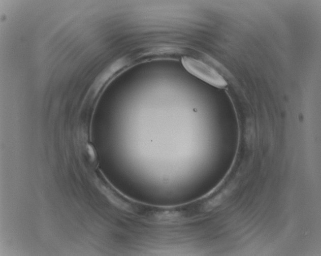 X0000076391321200610202054