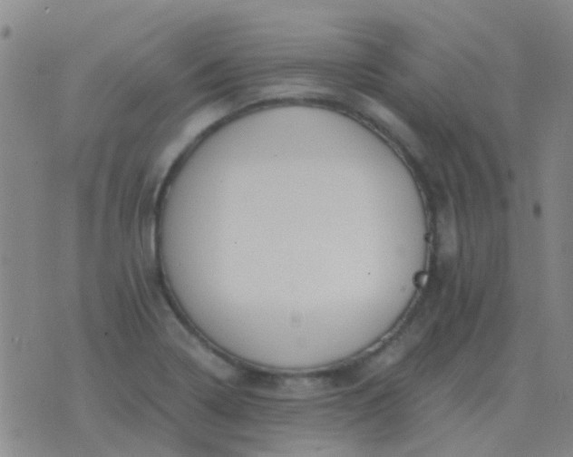 X0000076391322200610202054