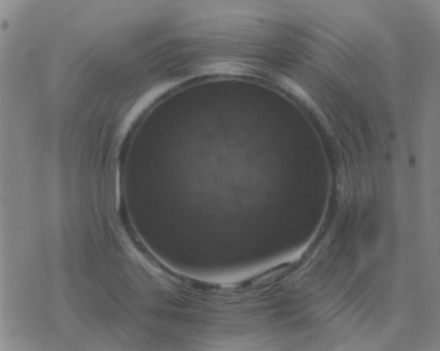 X0000076391323200610202054