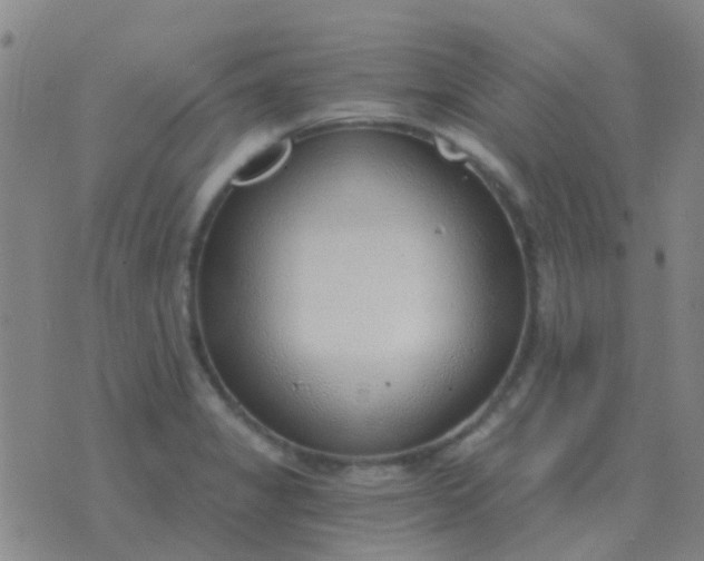 X0000076391325200610202054