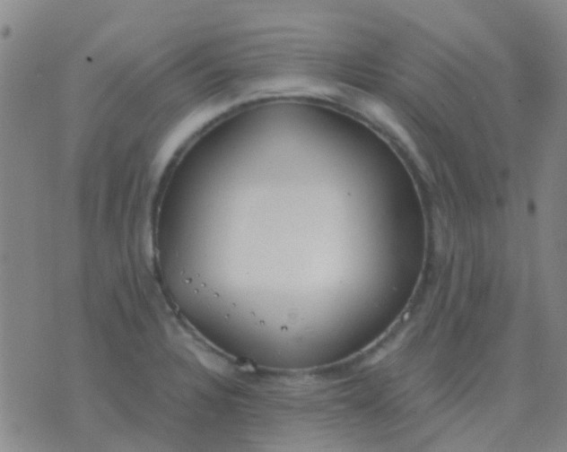 X0000076391328200610202054