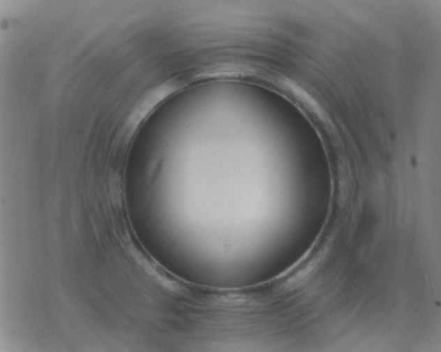 X0000076391329200610202055