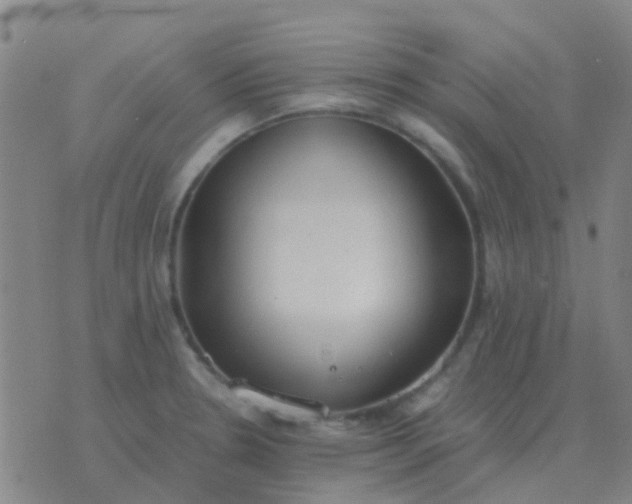 X0000076391330200610202055