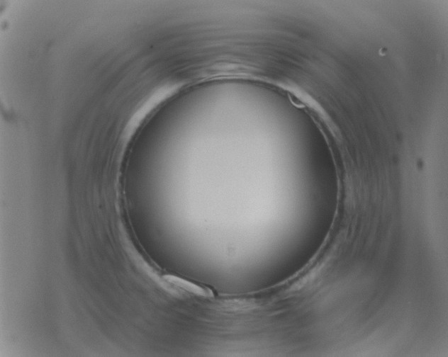 X0000076391333200610202055