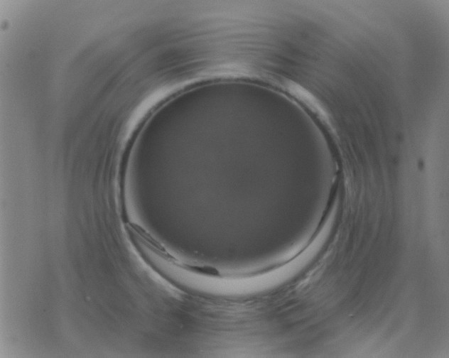 X0000076391334200610202055