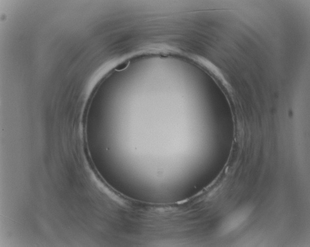 X0000076391335200610202055