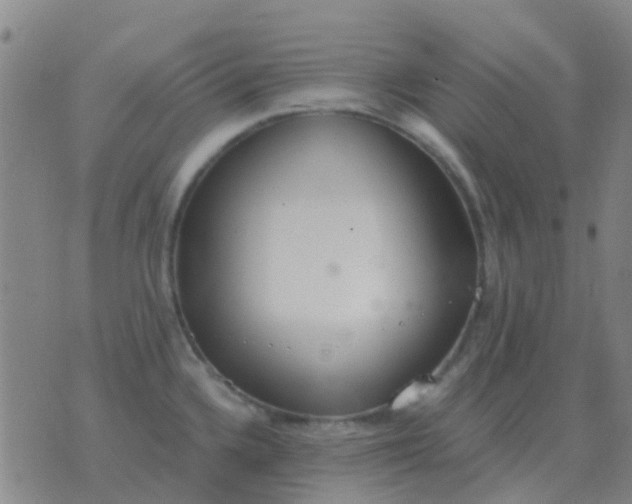 X0000076391336200610202055