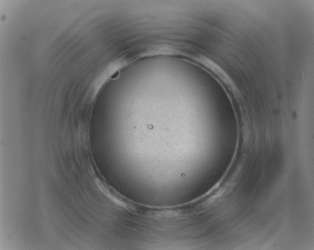 X0000076391337200610202055