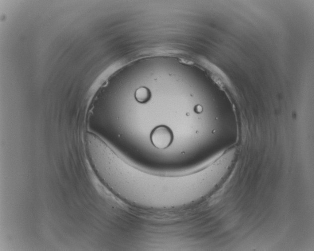 X0000076391338200610202055