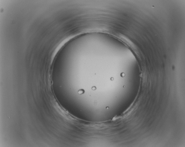 X0000076391340200610202055