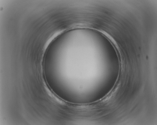 X0000076391341200610202055