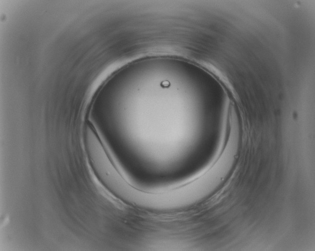 X0000076391342200610202055