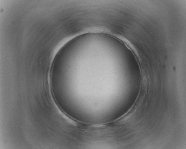 X0000076391343200610202055