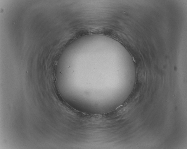 X0000076391345200610202054