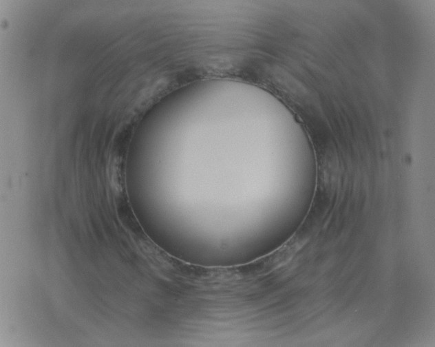 X0000076391346200610202054