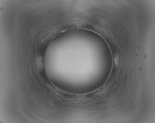 X0000076391347200610202054