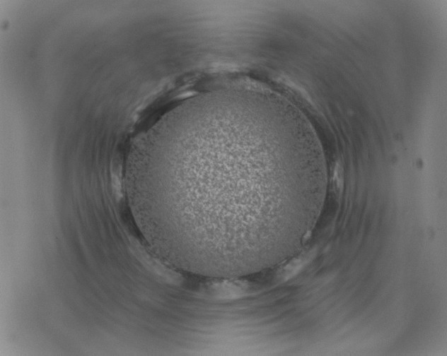 X0000076391348200610202054