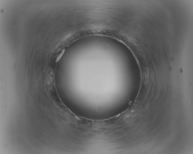 X0000076391349200610202054