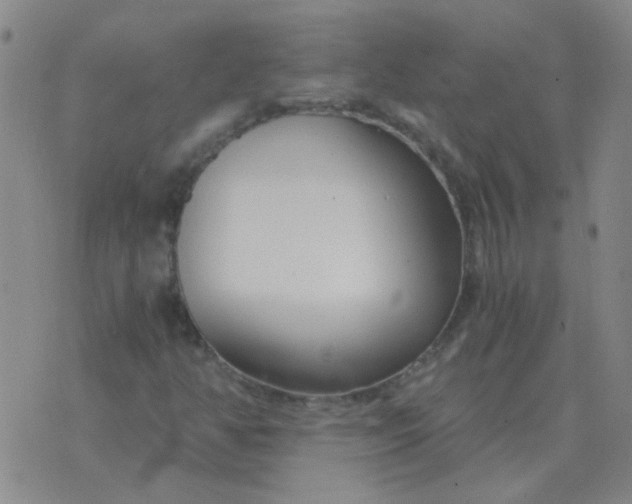 X0000076391350200610202054