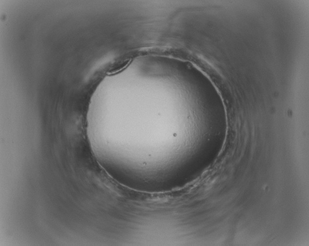 X0000076391351200610202054