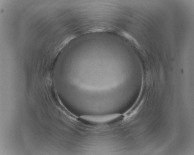 X0000076391353200610202054