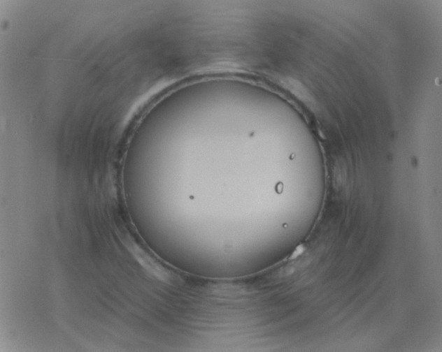 X0000076391356200610202054