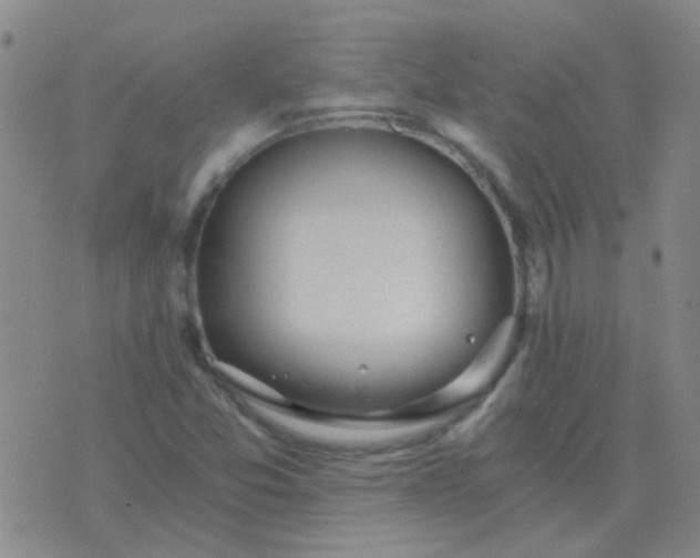 X0000076391357200610202054